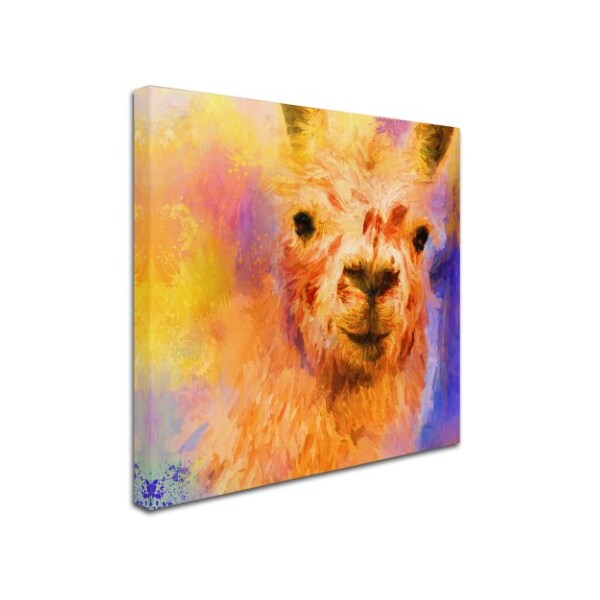 Jai Johnson 'Jazzy Llama' Canvas Art,14x14